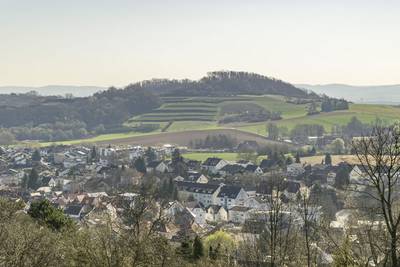 Blick auf Roßdorfs Weinberg
